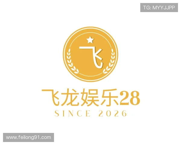 认识飞龙娱乐28